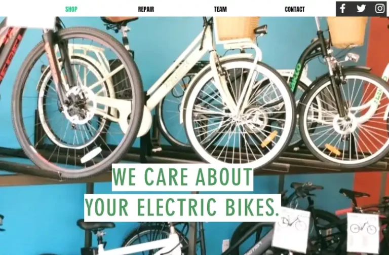 theelectricbikeshop 768x503