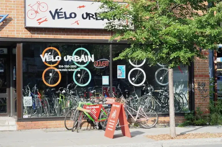 velo urbain 768x510